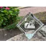 Parson Russell Terrier - crystal cube with a photo, photo of a horse in crystal, cubic paperweight from Art-Dog brand