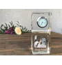 Terrier du révérend Russell, Parson Russell terrier - montre en cristal avec photo, photo de chien dans un cristal, horloge de bureau personnalisée de la marque Art-Dog