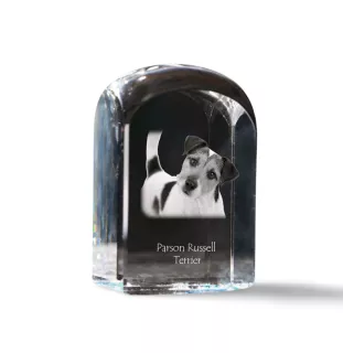 Parson Russell Terrier - Kristallwürfel mit Bild, Hundebild im Kristall, sechseckiger Papierclip von Art-Dog.