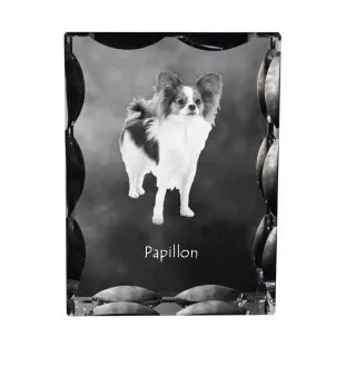 Papillon, Épagneul nain continental papillon - cristal avec photo de chien, statuette en verre avec photo, cadre exceptionnel avec photo de la marque Art-Dog