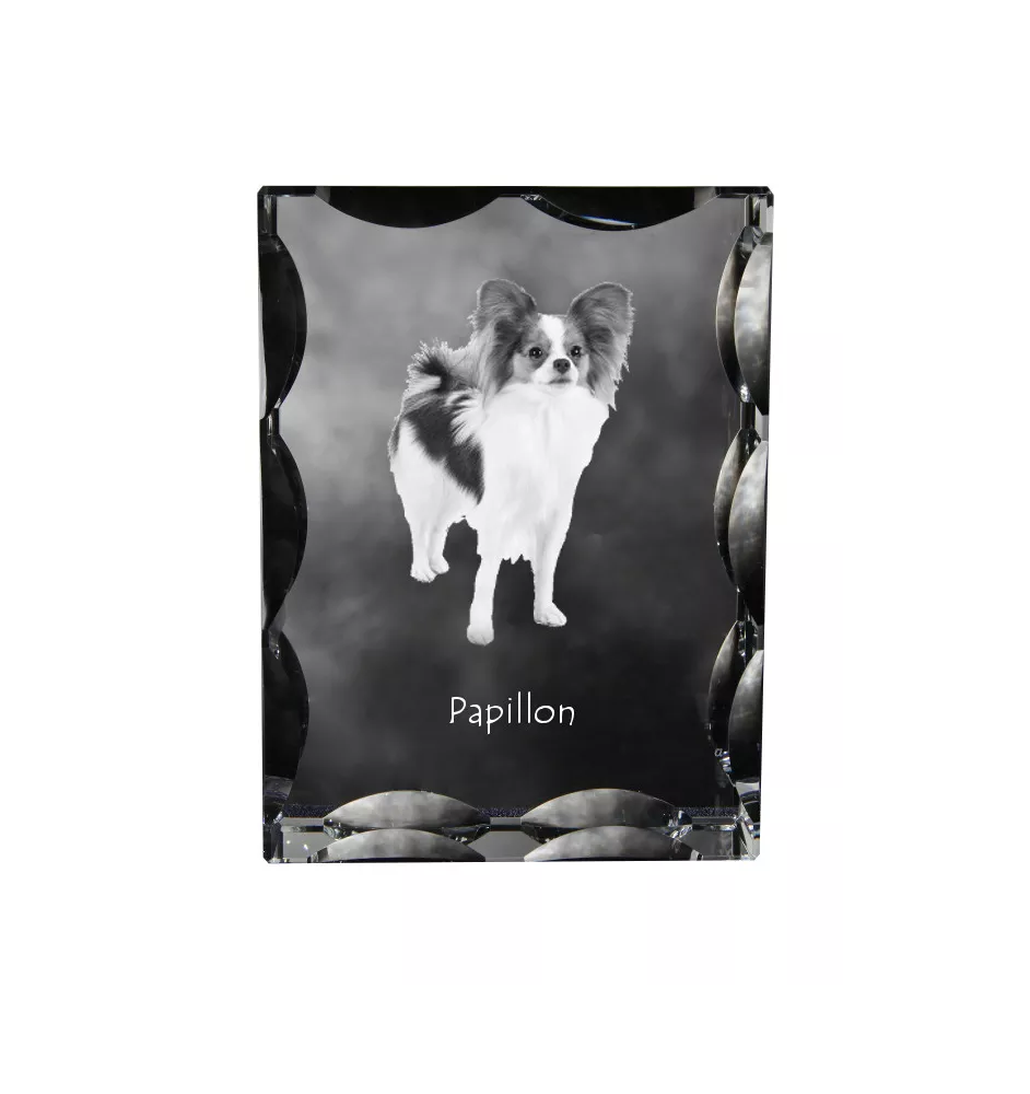 Papillon ramka kryształowa z psem Art-Dog