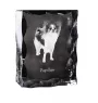 Papillon, Continental Toy Spaniel, Butterfly dog - crystal with a picture of a dog, glass statuette with a picture, unique frame with a picture from Art-Dog brand