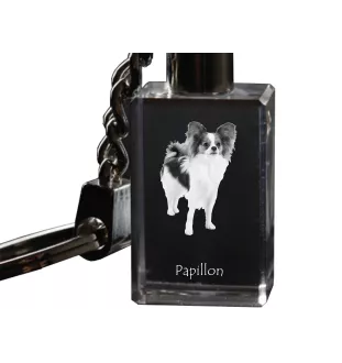 Papillon, Kontinentaler Zwergspaniel - Schlüsselanhänger aus Kristall mit Hundefoto, beleuchteter Schlüsselanhänger, einzigartiges Geschenk der Marke Art-Dog