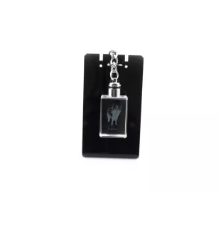 Papillon, Kontinentaler Zwergspaniel - Schlüsselanhänger aus Kristall mit Hundefoto, beleuchteter Schlüsselanhänger, einzigartiges Geschenk der Marke Art-Dog