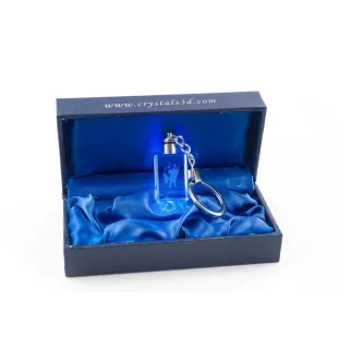 Papillon, Kontinentaler Zwergspaniel - Schlüsselanhänger aus Kristall mit Hundefoto, beleuchteter Schlüsselanhänger, einzigartiges Geschenk der Marke Art-Dog