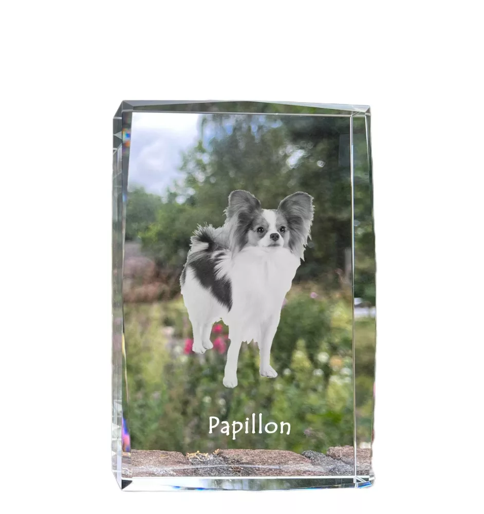 Papillon kryształ z psem Art-Dog