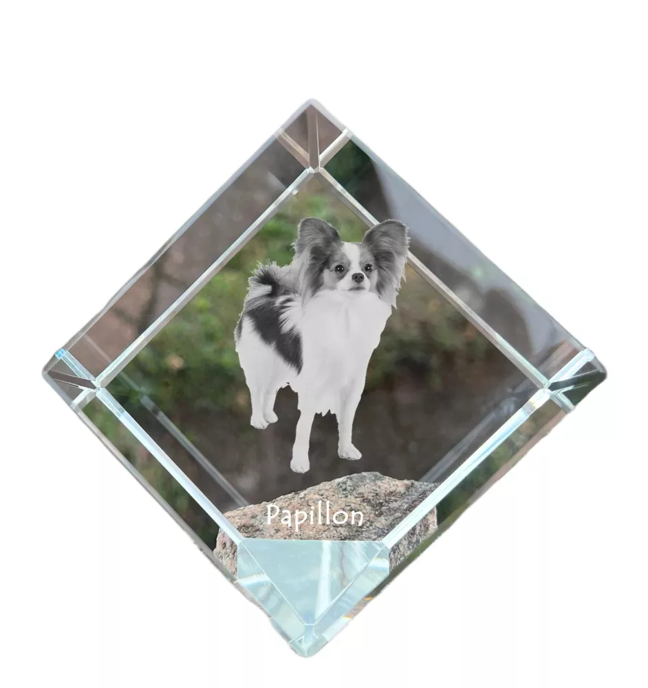 Papillon, Continental Toy Spaniel, Butterfly dog - crystal cube with a photo, photo of a horse in crystal, cubic paperweight from Art-Dog brand