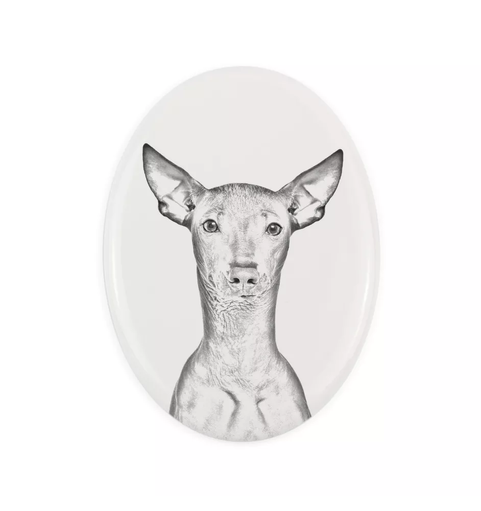Chien nu du Pérou - une plaque commémorative avec une photo de chien, une plaque funéraire avec une impression, une plaque ovale personnalisée de la marque Art-Dog