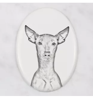 Peruvian Hairless Dog, Peruvian Viringo, Naked Dog - commemorative plaque with a photo of a dog, tombstone with a print, personalized oval plaque from the Art-Dog brand