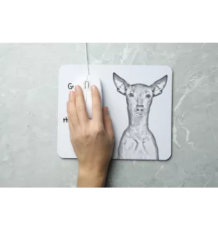 Peruanischer Nackthund, Viringo - Mauspad mit Druck, personalisiertes Mauspad mit Hund, einzigartiges Gadget für Büroangestellte von Art-Dog.