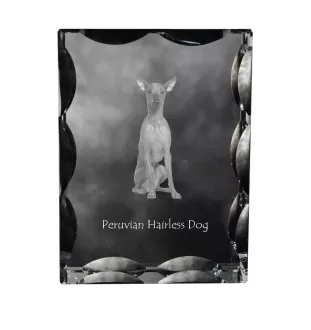 Peruvian Hairless Dog, Peruvian Viringo, Naked Dog - crystal with a picture of a dog, glass statuette with a picture, unique frame with a picture from Art-Dog brand