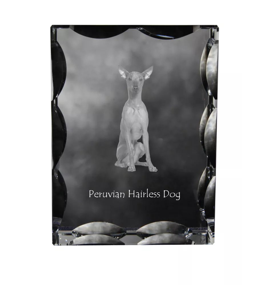 Peruvian Hairless Dog, Peruvian Viringo, Naked Dog - crystal with a picture of a dog, glass statuette with a picture, unique frame with a picture from Art-Dog brand