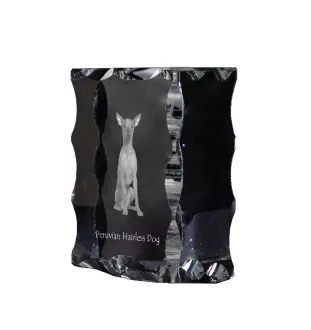 Peruanischer Nackthund, Viringo - Kristall mit einem Hundebild, Glasstatuette mit einem Bild, einzigartiger Bilderrahmen der Marke Art-Dog