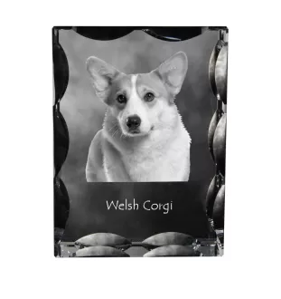 Pembroke Welsh Corgi - Kristall mit einem Hundebild, Glasstatuette mit einem Bild, einzigartiger Bilderrahmen der Marke Art-Dog