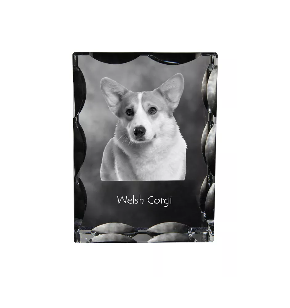 Pembroke Welsh Corgi - Kristall mit einem Hundebild, Glasstatuette mit einem Bild, einzigartiger Bilderrahmen der Marke Art-Dog