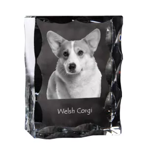 Pembroke Welsh Corgi - Kristall mit einem Hundebild, Glasstatuette mit einem Bild, einzigartiger Bilderrahmen der Marke Art-Dog