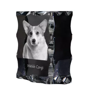 Pembroke Welsh Corgi - Kristall mit einem Hundebild, Glasstatuette mit einem Bild, einzigartiger Bilderrahmen der Marke Art-Dog