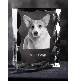 Pembroke Welsh Corgi - Kristall mit einem Hundebild, Glasstatuette mit einem Bild, einzigartiger Bilderrahmen der Marke Art-Dog