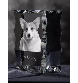 Pembroke Welsh Corgi - Kristall mit einem Hundebild, Glasstatuette mit einem Bild, einzigartiger Bilderrahmen der Marke Art-Dog