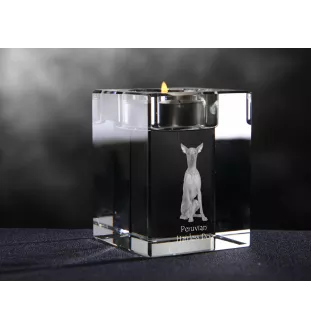 Peruvian Hairless Dog, Peruvian Viringo, Naked Dog - Candle holder with dog photo, crystal tealight holder, personalised gift by Art-Dog brand