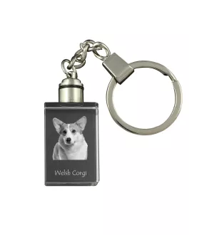 Pembroke Welsh Corgi - Porte-clés en cristal avec photo de chien, porte-clés lumineux, cadeau unique de la marque Art-Dog