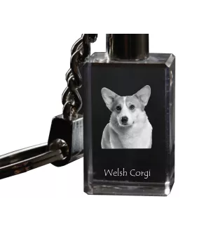 Pembroke Welsh Corgi - Crystal key ring with dog photo, illuminated key ring, unique gift by Art-Dog brand