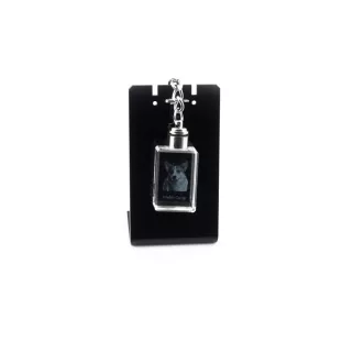 Pembroke Welsh Corgi - Crystal key ring with dog photo, illuminated key ring, unique gift by Art-Dog brand