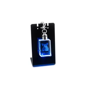 Pembroke Welsh Corgi - Crystal key ring with dog photo, illuminated key ring, unique gift by Art-Dog brand