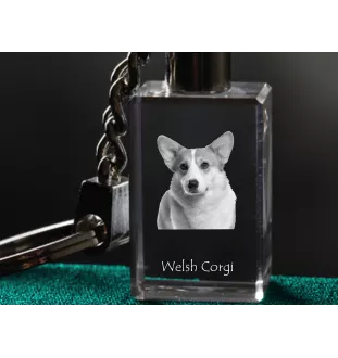 Pembroke Welsh Corgi - Crystal key ring with dog photo, illuminated key ring, unique gift by Art-Dog brand