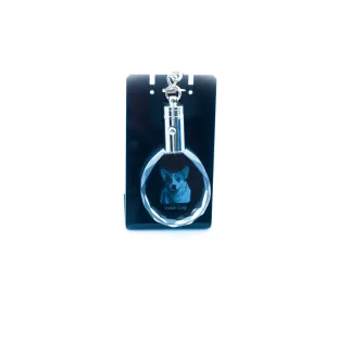 Pembroke Welsh Corgi - pendentif avec une photo de chien, porte-clés en cristal dans une boîte cadeau, un cadeau unique par Art-Dog