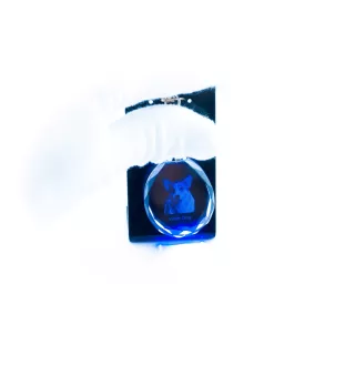 Pembroke Welsh Corgi - pendant with a photo of a dog, crystal key ring in a gift box, a unique gift by Art-Dog