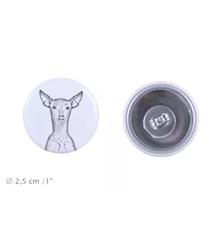 Peruvian Hairless Dog, Peruvian Viringo, Naked Dog - unique dog earrings, your pet on a keychain, Art-Dog's own brand