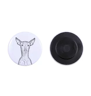 Peruvian Hairless Dog, Peruvian Viringo, Naked Dog - magnet with a dog's pupil, exceptionally light, strong magnet, handmade product by the Art-Dog brand