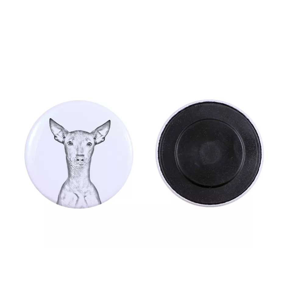 Peruvian Hairless Dog, Peruvian Viringo, Naked Dog - magnet with a dog's pupil, exceptionally light, strong magnet, handmade product by the Art-Dog brand