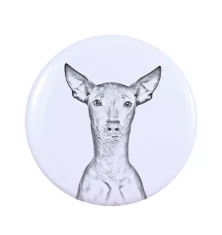 Peruvian Hairless Dog, Peruvian Viringo, Naked Dog - magnet with a dog's pupil, exceptionally light, strong magnet, handmade product by the Art-Dog brand