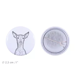 Peruvian Hairless Dog, Peruvian Viringo, Naked Dog - pin with your dog, add your own photo, Art-Dog brand