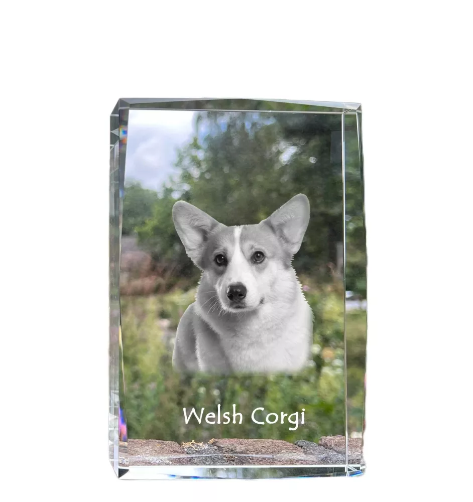 Pembroke Welsh Corgi - Kristall mit einem Hundebild, Bild im Glas, moderne Ausstellung des Art-Dog-Bildes.