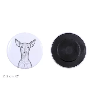 Peruanischer Nackthund, Viringo Magnet mit einem Hundepfotenabdruck, außergewöhnlich leicht, starker Magnet, handgefertigtes Produkt der Marke Art-Dog