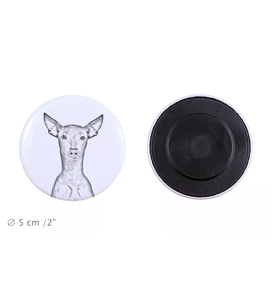 Chien nu du Pérou - aimant avec un œil de chien, exceptionnellement léger, aimant puissant, produit fabriqué à la main par la marque Art-Dog
