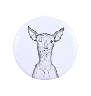 Peruvian Hairless Dog, Peruvian Viringo, Naked Dog - magnet with a dog's pupil, exceptionally light, strong magnet, handmade product by the Art-Dog brand