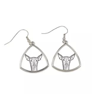 Chien nu du Pérou - boucles d'oreilles avec chien, boucles d'oreilles pendantes avec photo, bijoux personnalisés avec impression de la marque Art-Dog