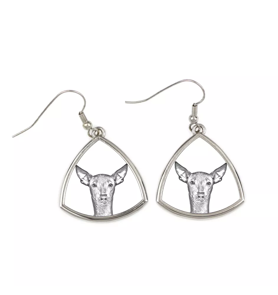 Peruvian Hairless Dog, Peruvian Viringo, Naked Dog - dog earrings, hanging earrings with a picture, personalized jewelry with Art-Dog brand print