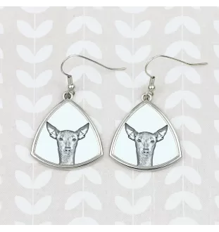 Peruvian Hairless Dog, Peruvian Viringo, Naked Dog - dog earrings, hanging earrings with a picture, personalized jewelry with Art-Dog brand print