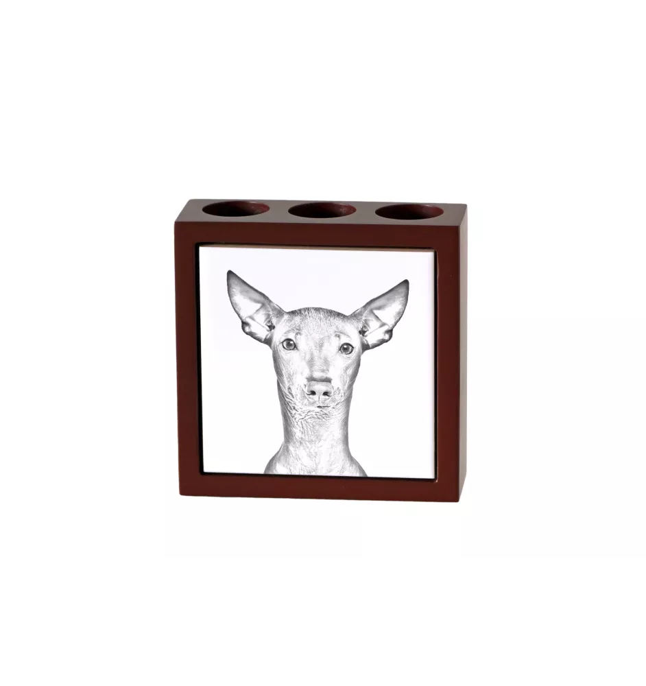 Peruvian Hairless Dog, Peruvian Viringo, Naked Dog - pen holder with a dog, desk organizer with a print, personalized desk decoration from the Art-Dog brand.