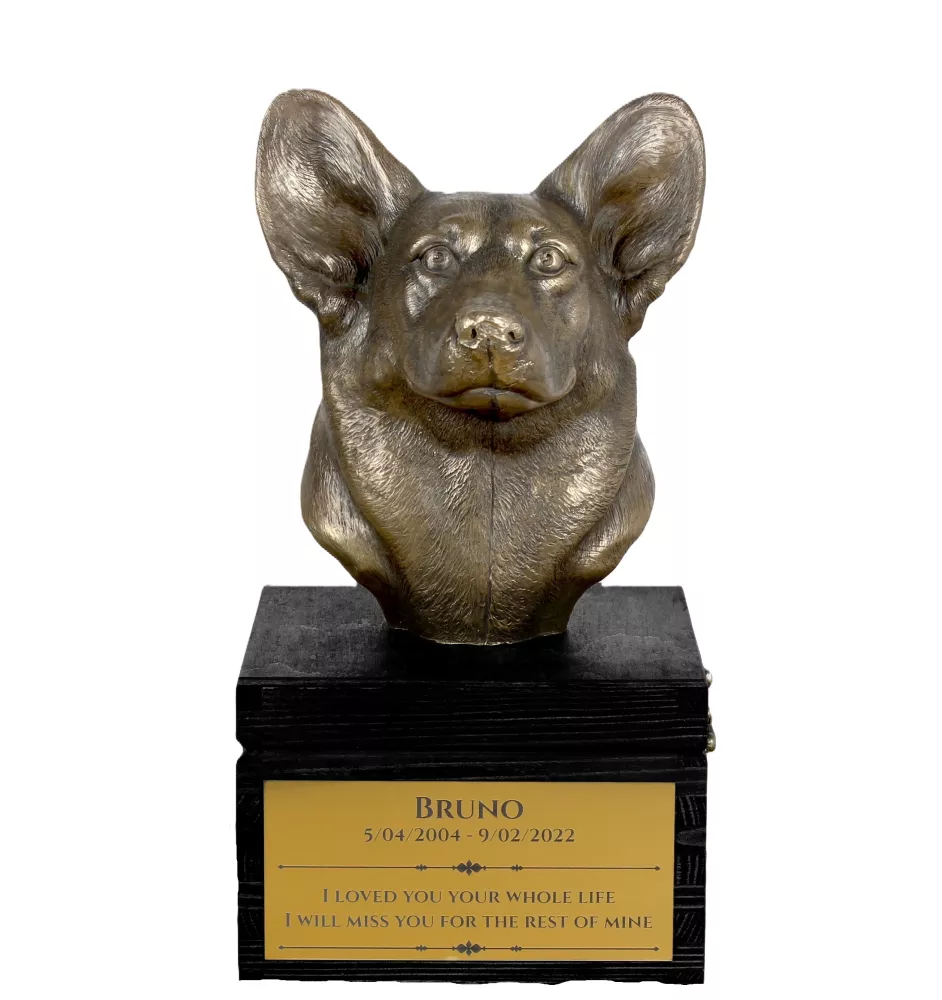 Pembroke Welsh Corgi urny na pudełku czarne Art-Dog