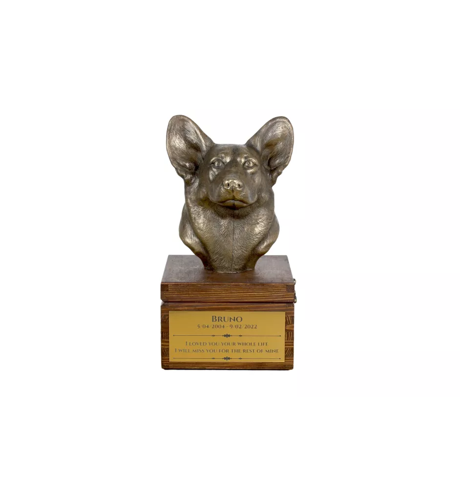 Pembroke Welsh Corgi urna na skrzynce brązowa Art-Dog