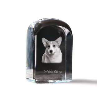 Pembroke Welsh Corgi - Kristallwürfel mit Bild, Hundebild im Kristall, sechseckiger Papierclip von Art-Dog.