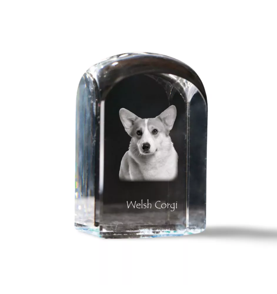Pembroke Welsh Corgi kryształ pieczątka z psem Art-Dog