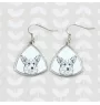 Pembroke Welsh Corgi - dog earrings, hanging earrings with a picture, personalized jewelry with Art-Dog brand print