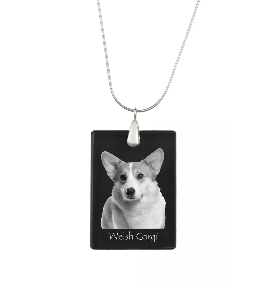 Pembroke Welsh Corgi - Crystal pendant with dog, silver necklace with photo, personalised pendant by Art-Dog brand
